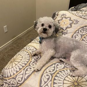 Meet your Posher, Vicky